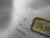 item-54332013=10