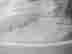 item-54332013=6