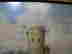 item-55593524=7