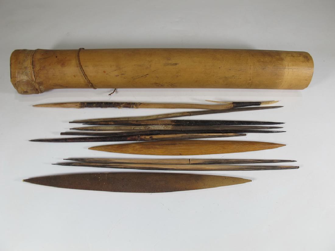 Set of 10 Amazonian Indians arrows (1 of 4)