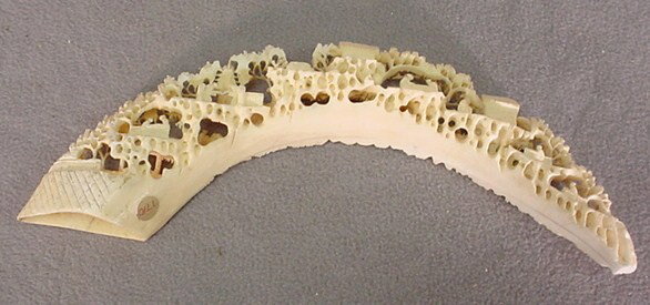 Chinese carved ivory tusk: Chinese hand carved ivory tusk. 11 1/4"W. Shipping in USA is $ 40.00. International bidders ask before bid because we don't shipp ivories out of USA.