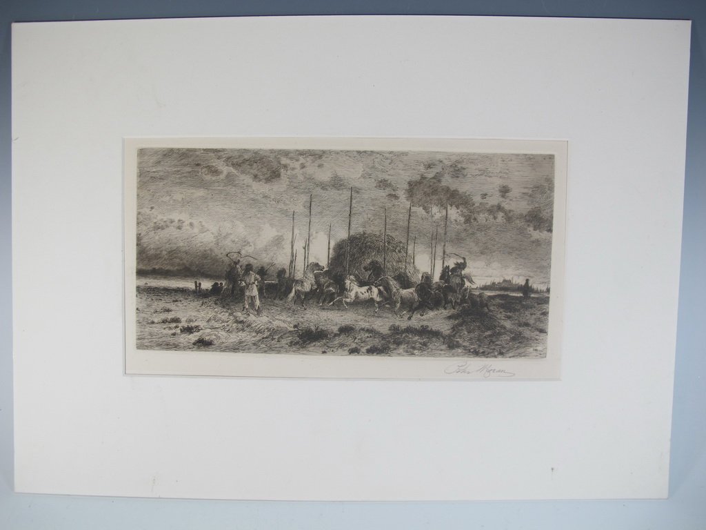 Peter MORAN (1841-1914) American artist engraving: Peter MORAN (1841-1914) American artist engraving, signed. 7” H x 13” W just the engraving. Shipping in USA is $ 45.00. International bidders ask for shipping before bid.