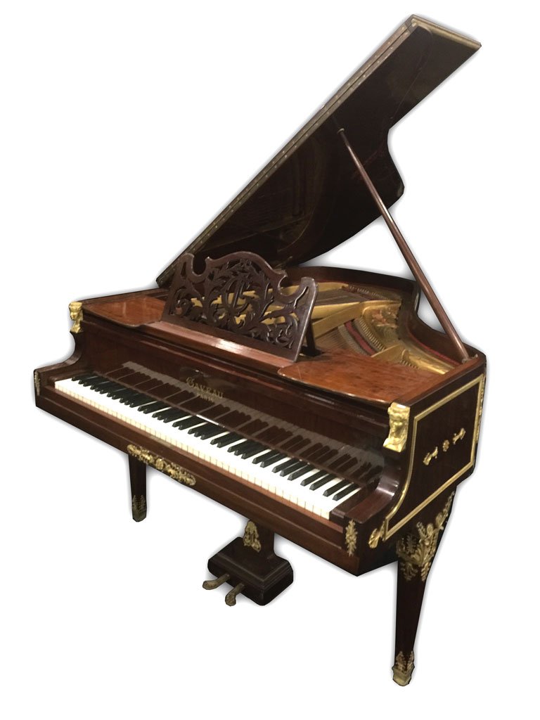 Amazing Joseph-Gabriel Gaveau (1824-1893)1/4 tail piano (1 of 10)