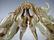 Antique Chinese hard stone dragons sculpture - 3