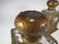 Baccarat style antique French pair of bronze & glass - 5