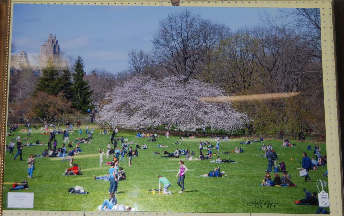 Life in Bloom Michael Brown: 30" x 45"