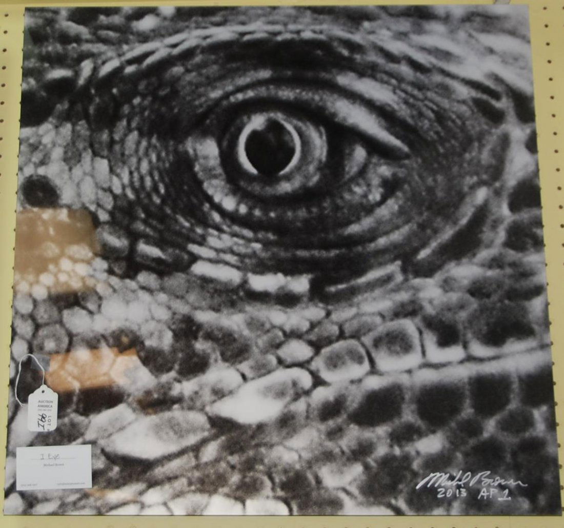 Mounted Photo "I Eye" SLR Michael Brown 2013 AP1: 26" X 26"