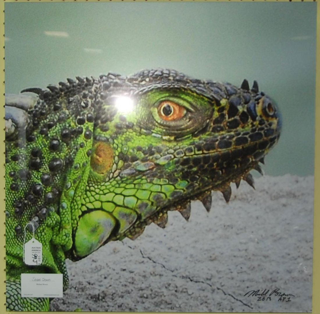 Mounted Photo "Stare Down" Michael Brown 2013 AP1: 26" X 26"