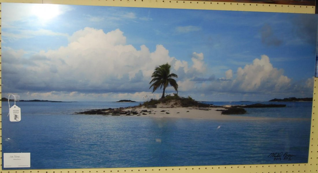 Mounted Photo "Isla Palma" Michael Brown 2013 AP1: 22" X 45"
