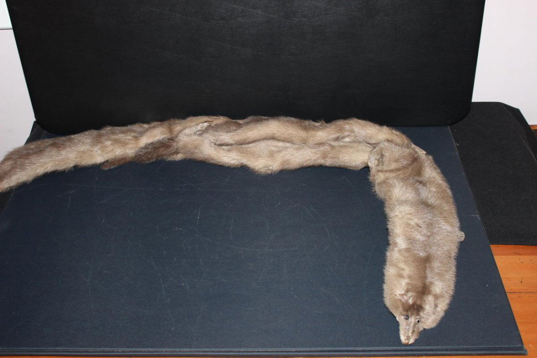 4 GREAT MINK: 4 GREAT MINK