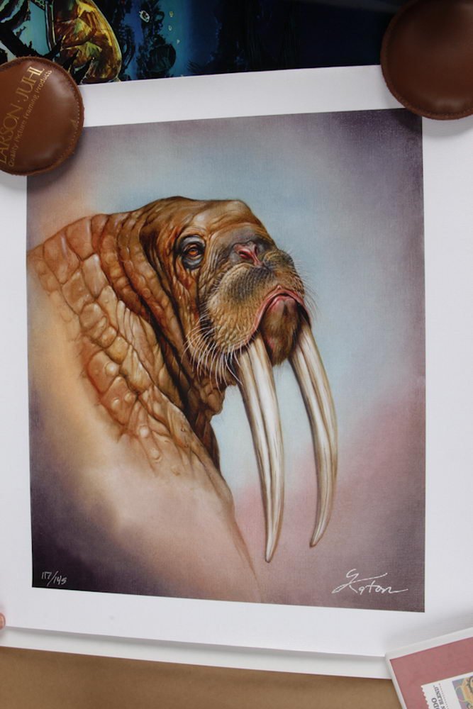 limited edition print entitled "walrus" by martin katon: limited edition print entitled "walrus" by martin katon artist signed 117/150 with coa