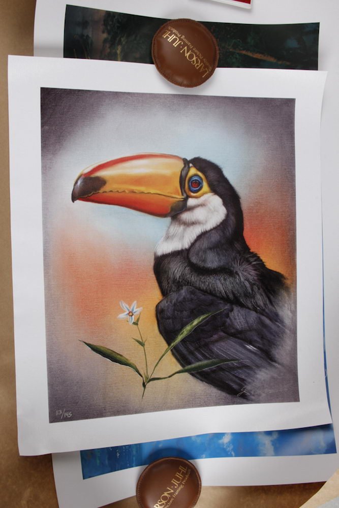 limited edition print by martin katon entitled "toucan": limited edition print by martin katon entitled "toucan" artist signed 113/150 with coa