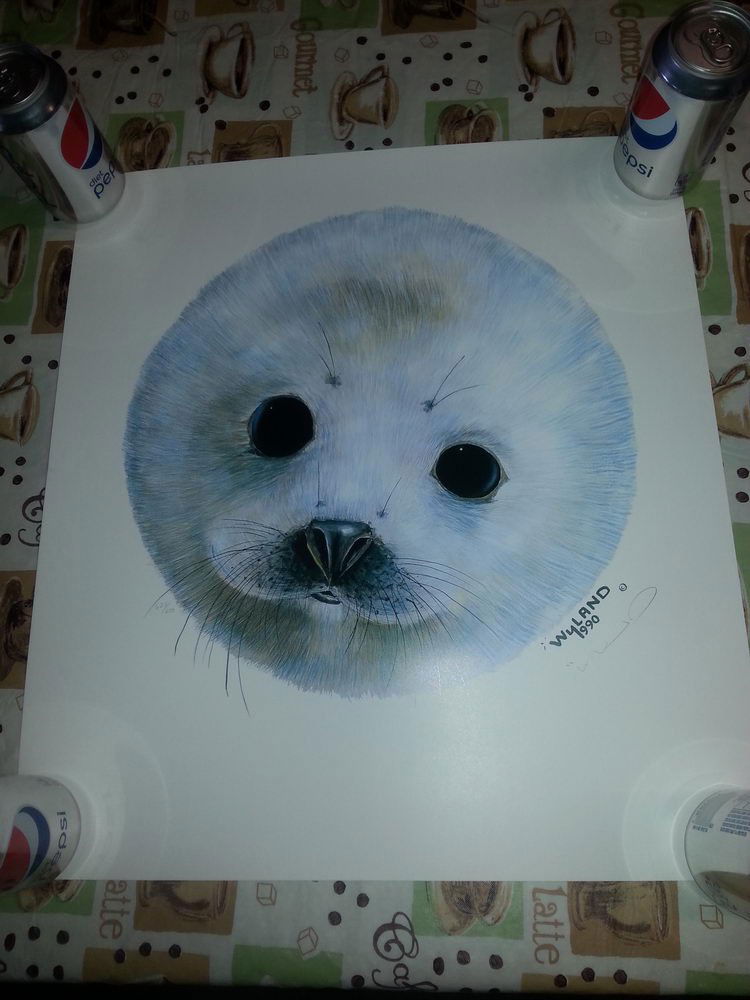 Limited edition lithograph by WYLAND titled snow pup: Limited edition lithograph by WYLAND titled snow pup hand signed by artist with coa 18x20