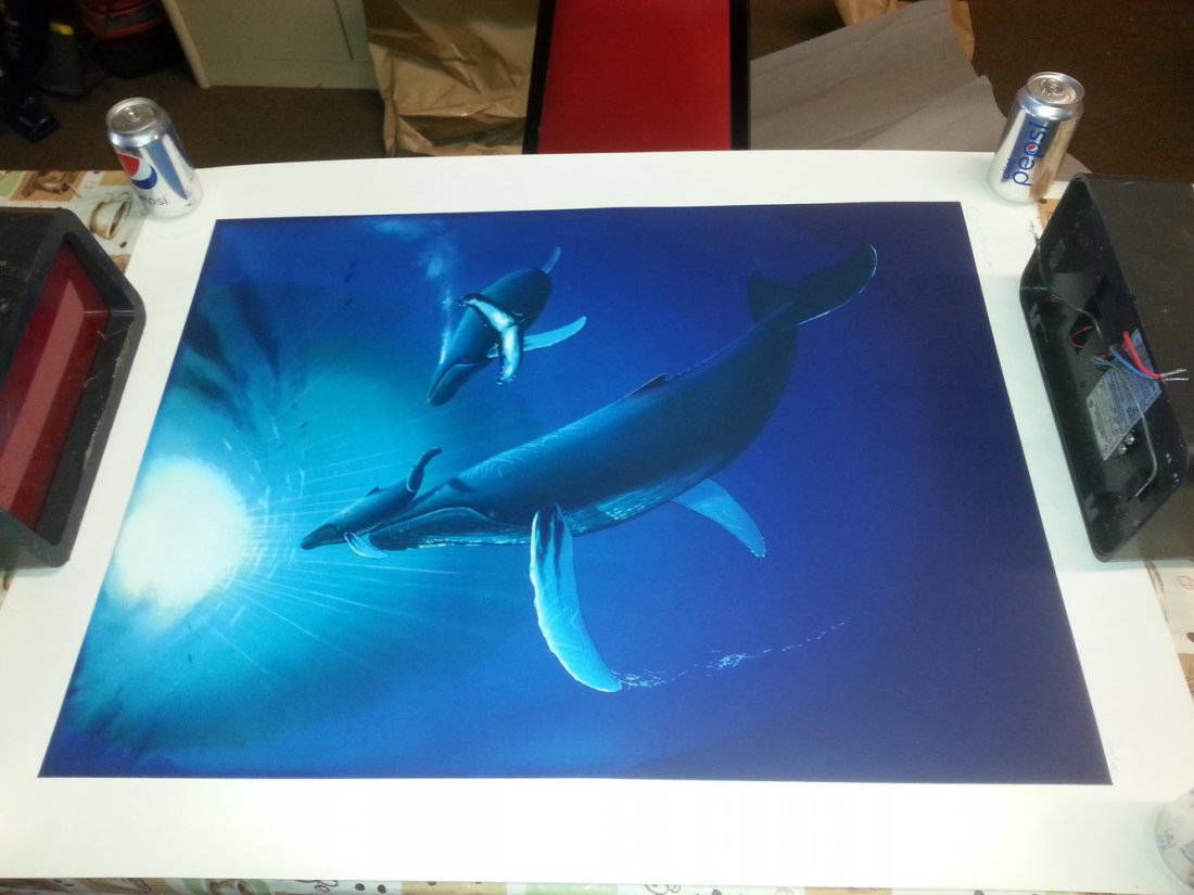 Limited edition serigraph by wyland 330/450 titled: Limited edition serigraph by wyland 330/450 titled ocean born artist signed with coa