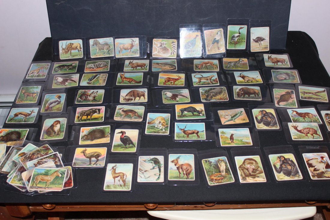 70 EXCELLENT HASSAN ORIENTAL SMOKE ANIMAL CARDS EACH IN: 70 EXCELLENT HASSAN ORIENTAL SMOKE ANIMAL CARDS EACH IN PLASTIC GLOVE