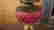 item-38341800=2