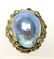 14K Yellow Gold Abalone Ring, Size 7