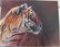 Tiger Painting by Matthew Hillier (England/UK born
