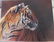 Tiger Painting by Matthew Hillier (England/UK born - 2