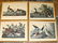 106: Collection of Four Nature Prints by J.J. Audubon,