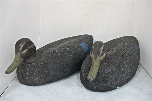 Pair of Large Goose Decoys: Pair of Large Goose Decoys