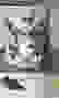 item-10202782=7