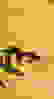 item-10202841=4