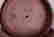 item-24510561=3