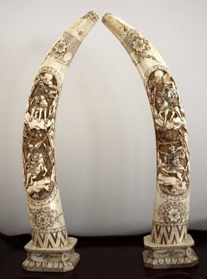 Hand Carved Ornate "Bone Tusk": One pair of very detailed carved tusk measuring approx. 28h. The works are in very good condition with intricately carved mythological carvings and accents.Quality. Low opening bid.