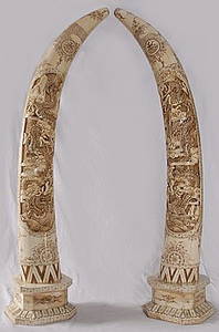 32B: One pair "Bone Tusk" Carved