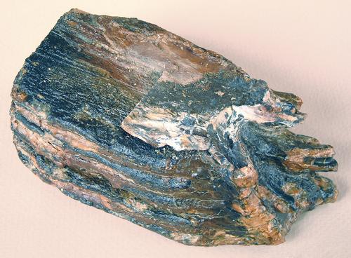 MASTODON TOOTH