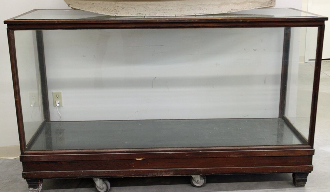 ANTIQUE STORE DISPLAY CASE (1 of 1)