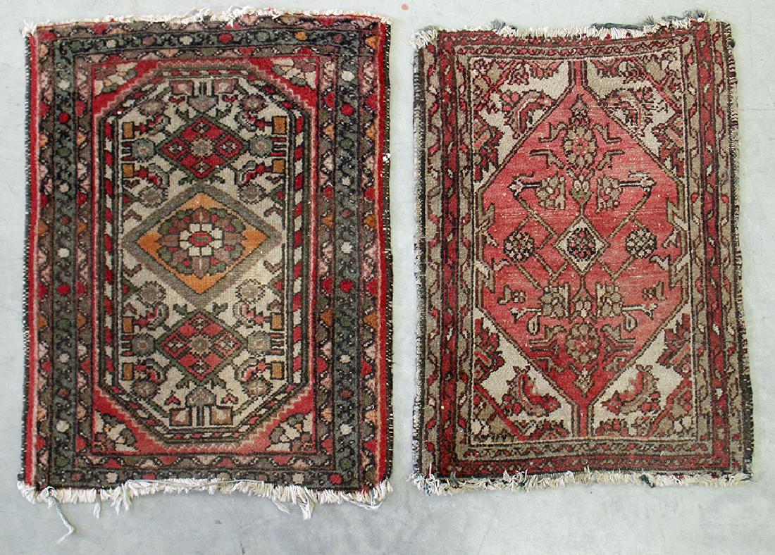 (2) PERSIAN RUGS (1 of 3)
