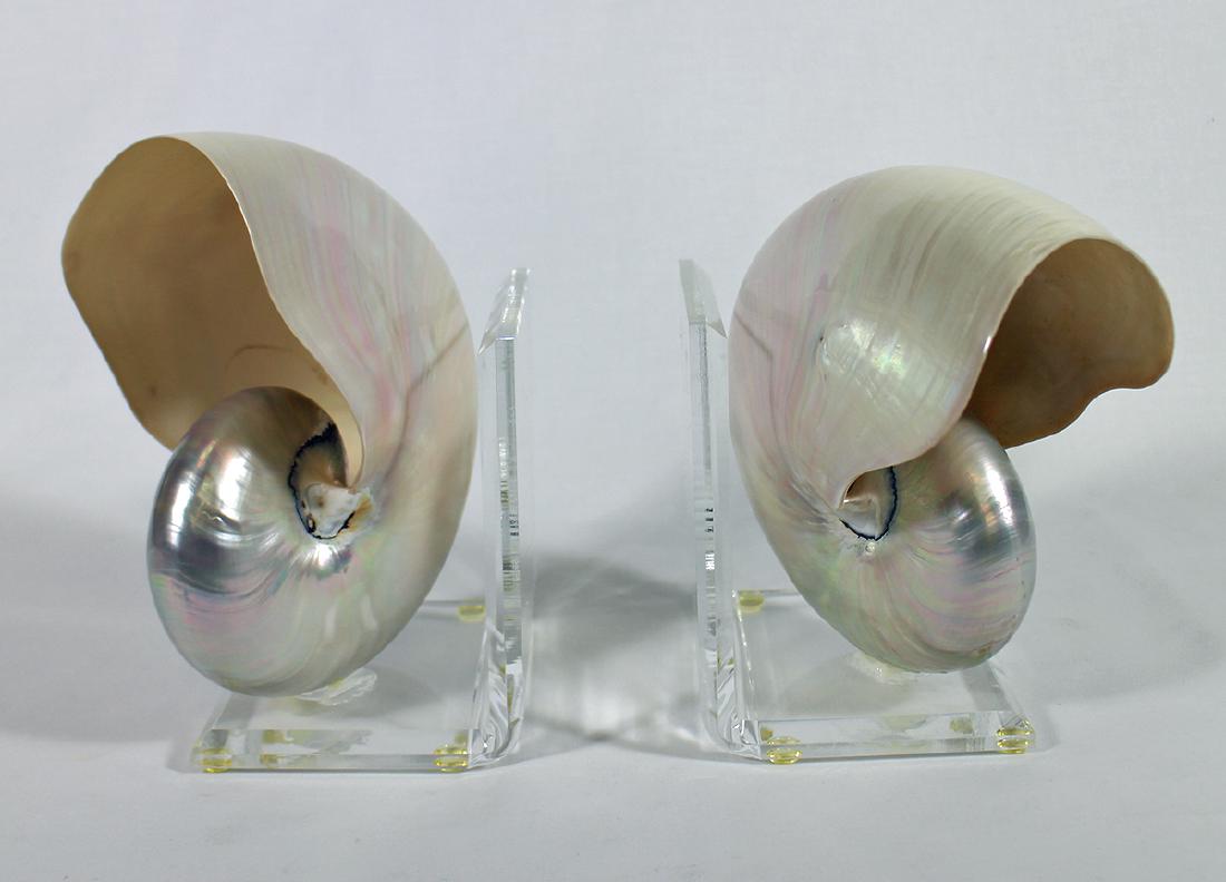 NAUTILUS SHELL BOOKENDS (1 of 2)
