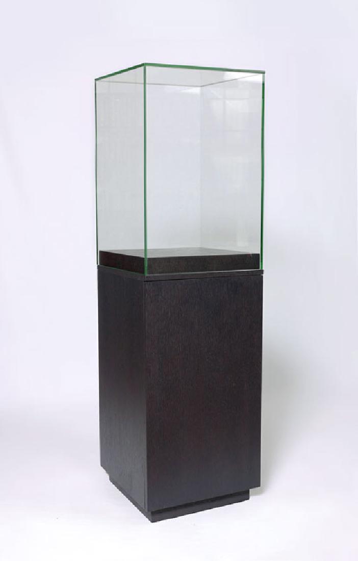 GLASS & WOOD MUSEUM DISPLAY CASE (1 of 1)
