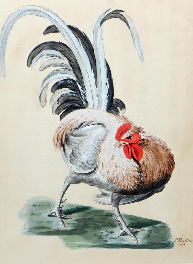 COCKEREL WATERCOLOR BY PETER PAILLOU (1 of 3)
