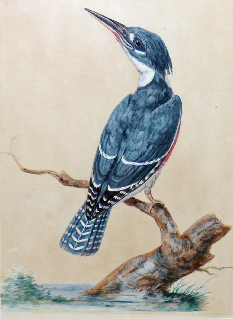 SPOTTED WOODPECKER WATERCOLOR BY PETER PAILLOU (1 of 2)