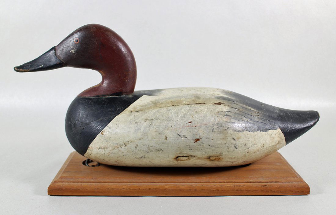 VINTAGE CHESAPEAKE BAY CANVAS BACK DUCK DECOY (1 of 4)