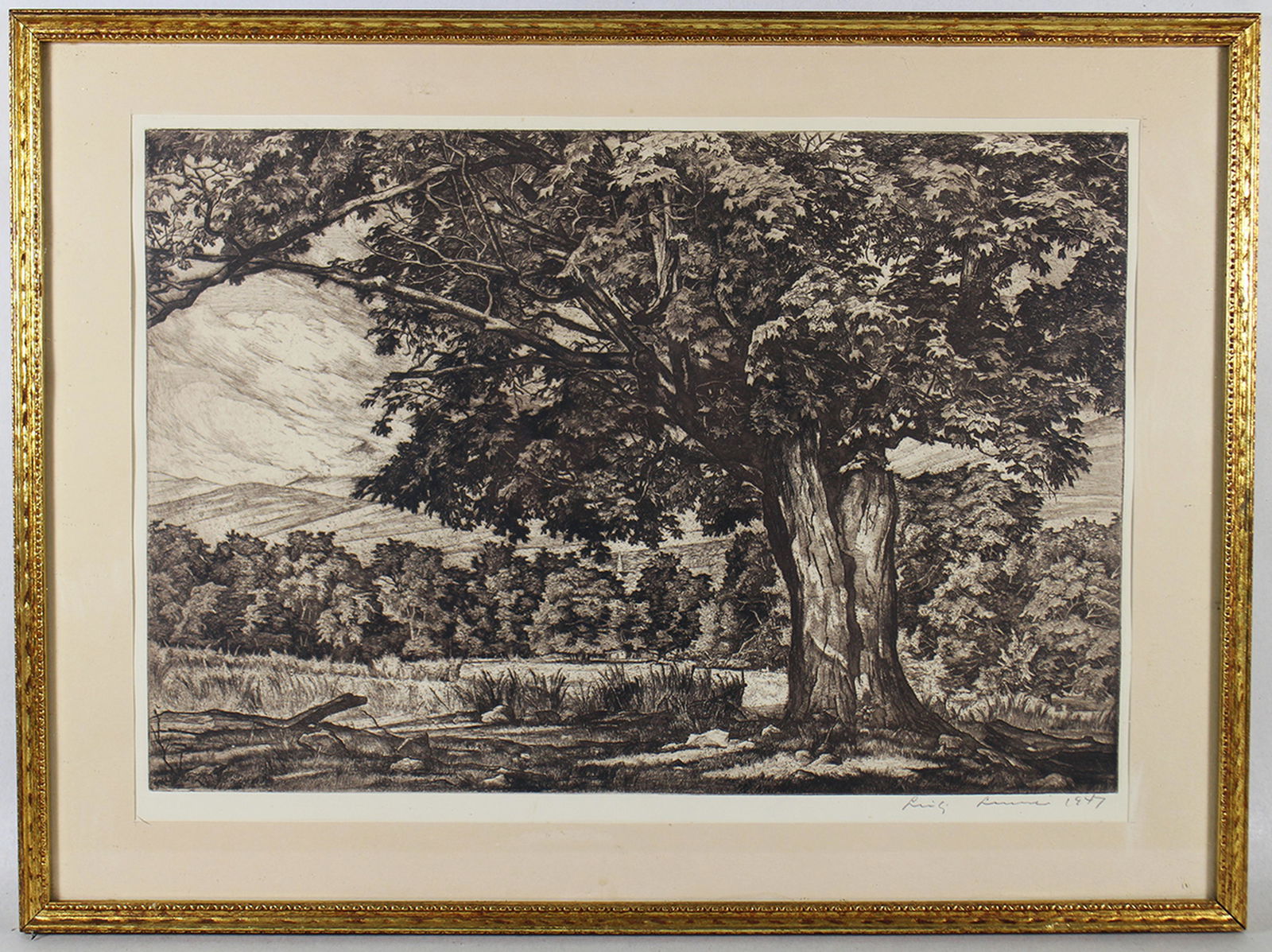 LUIGI LUCIONI "SPREADING MAPLE" SIGNED ETCHING (1 of 3)