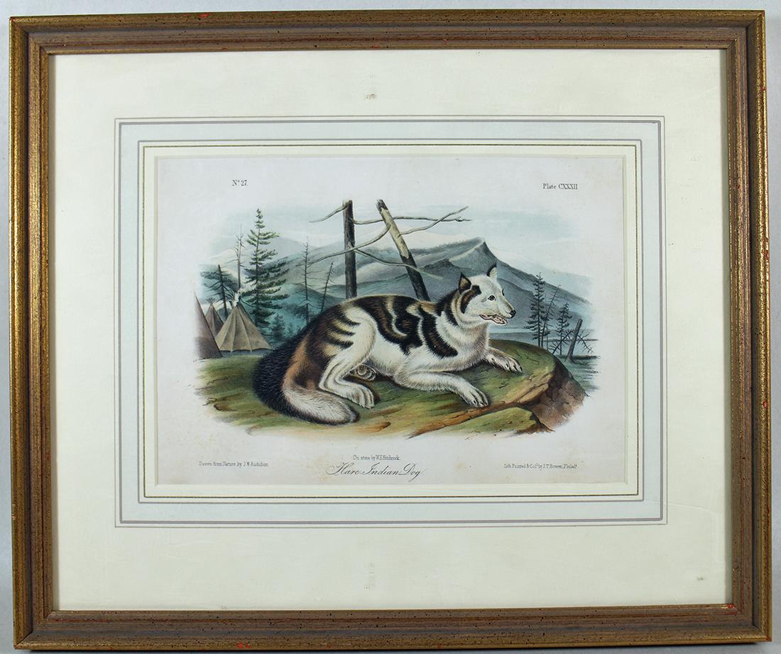 AUDUBON HARE INDIAN DOG LITHOGRAPH (1 of 2)