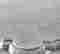 item-81103656=2