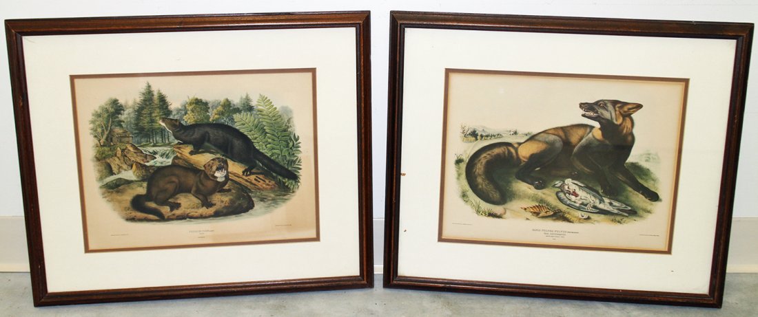 (2) JOHN AUDUBON BOWEN EDITION LITHOGRAPHS (1 of 3)