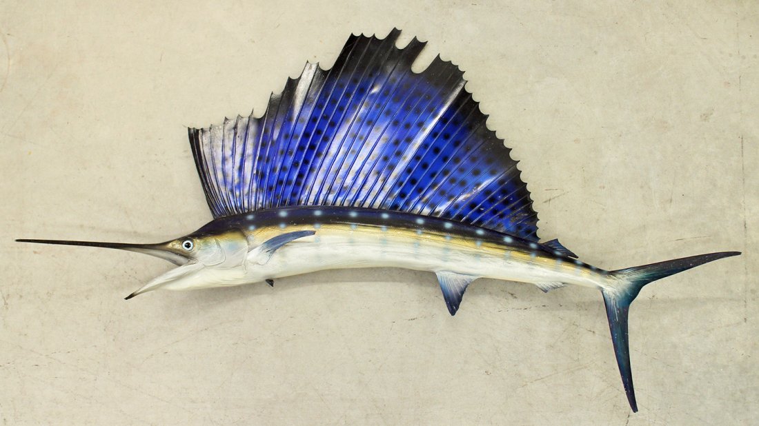 SAILFISH WALL MOUNT (1 of 2)