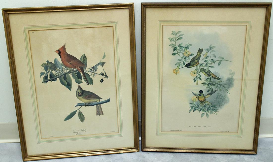 (2) ANTIQUE COLORED BIRD LITHOGRAPHS (1 of 3)