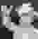 item-86375592=7