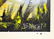 NORMAN WRIGHT FLORIDA PAINTING - 2