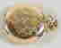 item-88506054=2