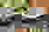 item-88506101=4