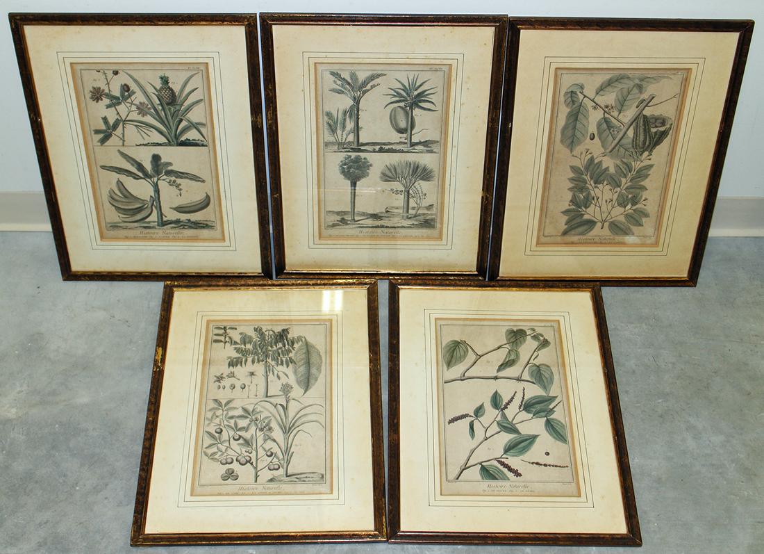 (5) BOTANICAL NICOLAS MARTINET PRINTS (1 of 4)