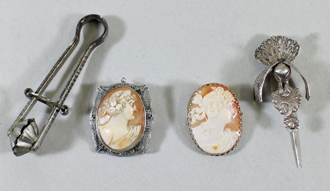 VICTORIAN CAMEOS, SKIRT LIFTER, & SASH PIN (1 of 2)